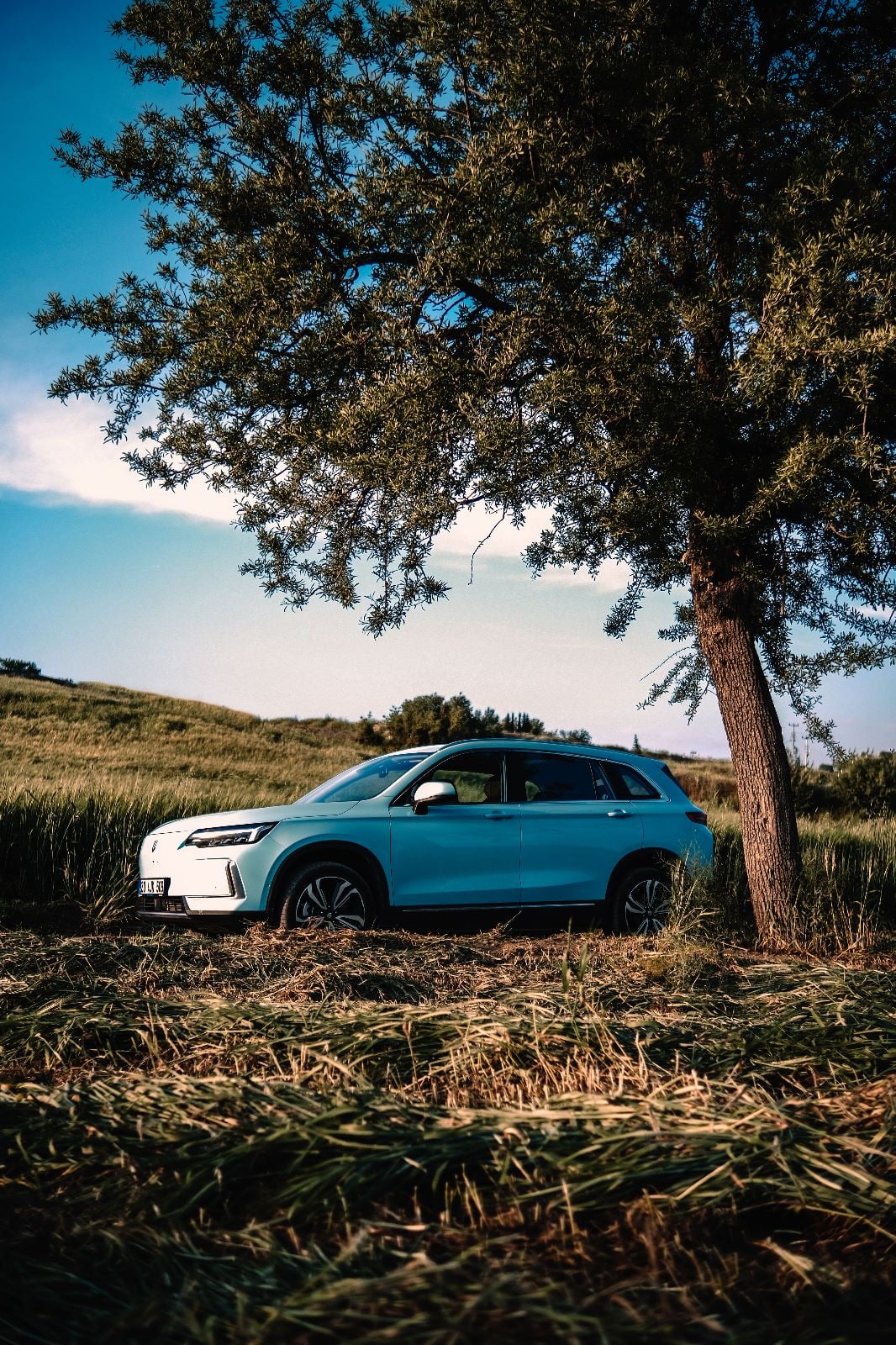 5a764ccf-7eef-443d-bf02-6050074cf003